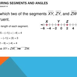 Geometry segments measuring