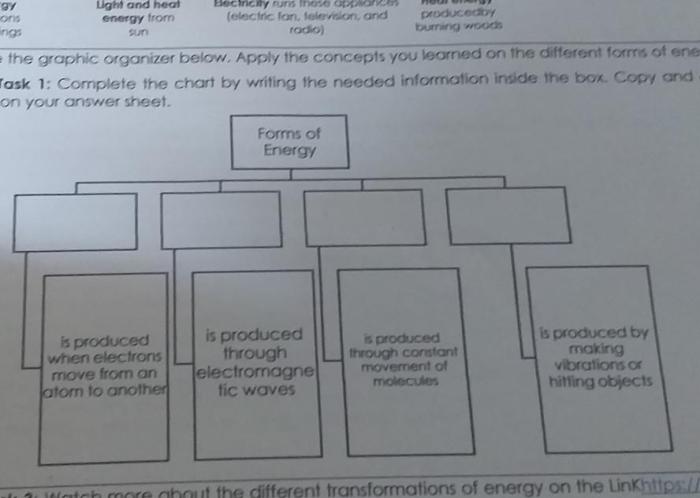 Fill in the graphic organizer below