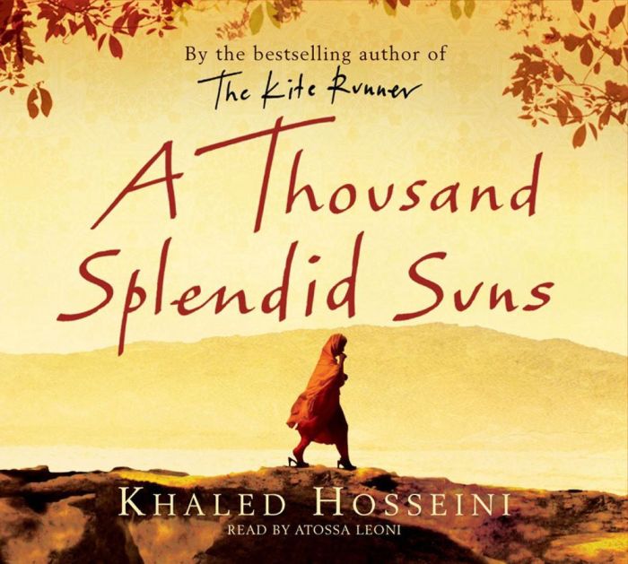 A thousand splendid suns study questions