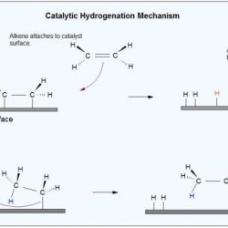 Transfer hydrogenation of olive oil