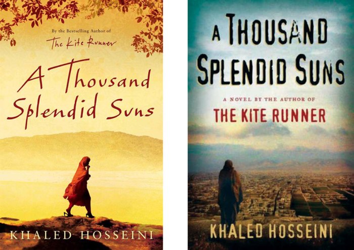 A thousand splendid suns study questions