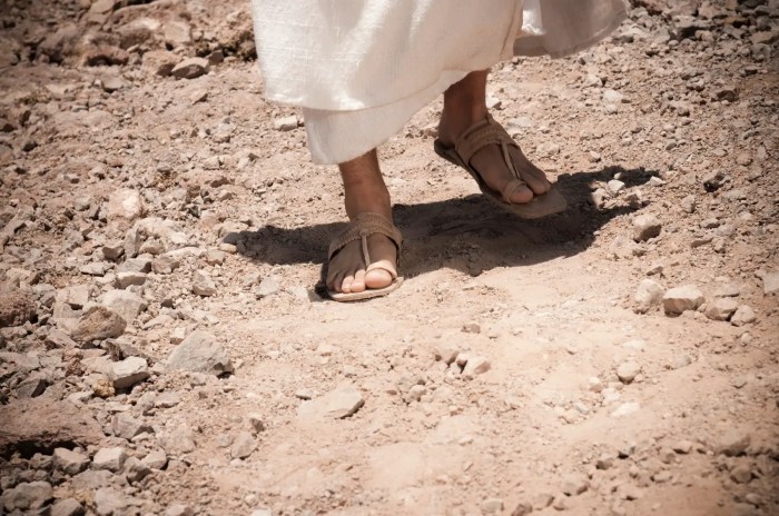 Footsteps on the sands of time