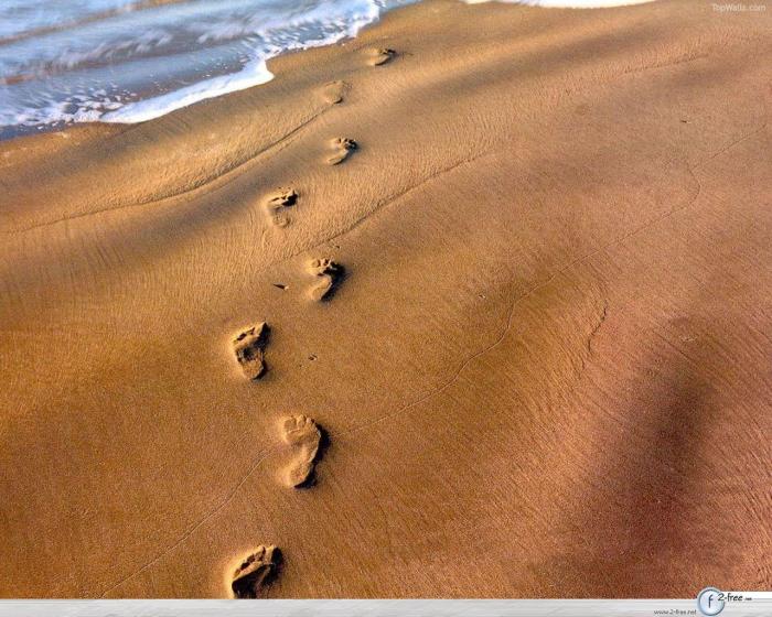 Footsteps on the sands of time