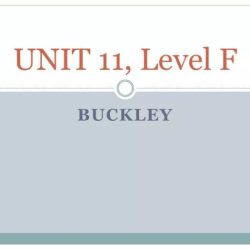 Unit 11 level f vocabulary in context