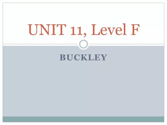 Unit 11 level f vocabulary in context