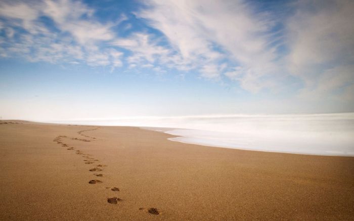 Footsteps on the sands of time