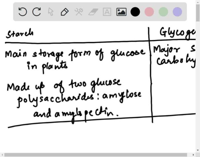 Determine whether each phrase describes starch glycogen or cellulose