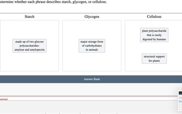 Determine whether each phrase describes starch glycogen or cellulose