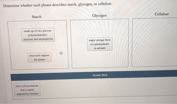 Determine whether each phrase describes starch glycogen or cellulose