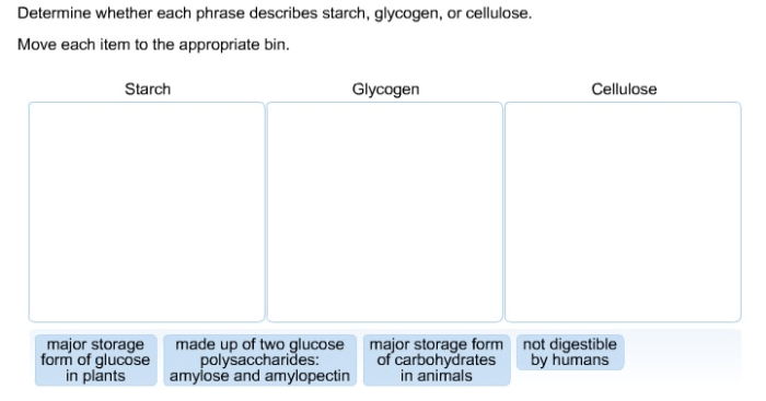 Determine whether each phrase describes starch glycogen or cellulose